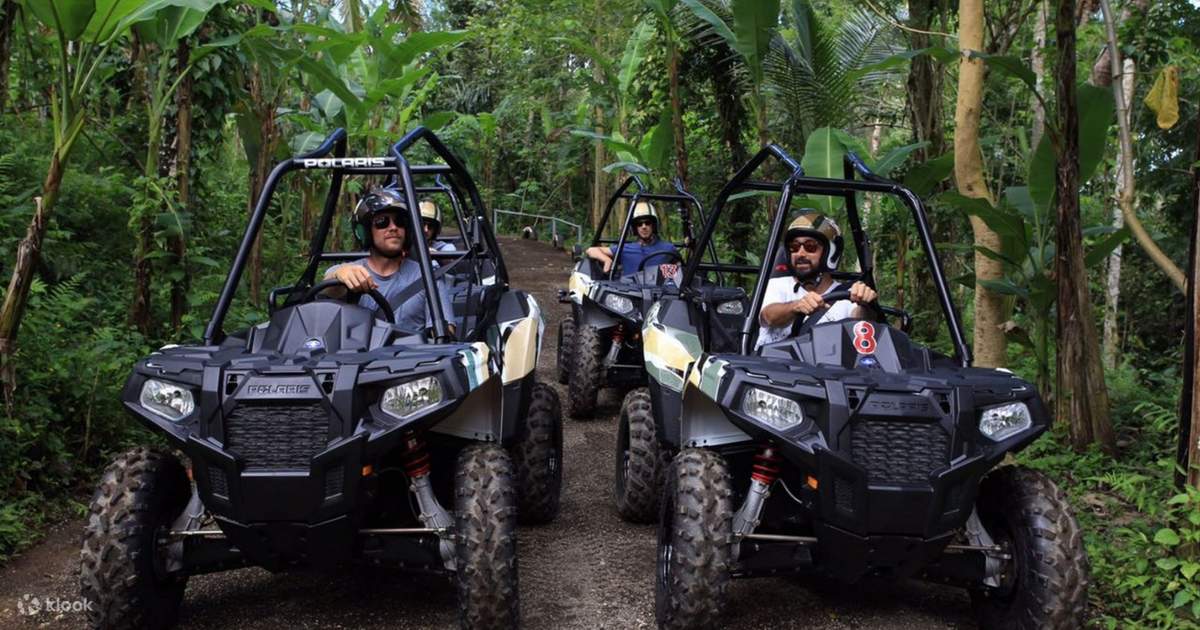Jungle shop buggy ride